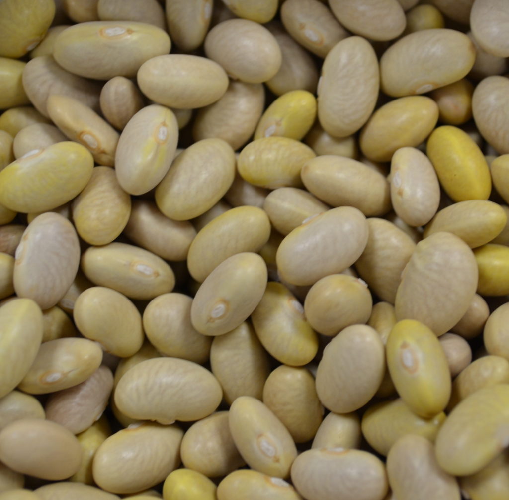 Dry Beans for Consumers Alberta Pulse Growers