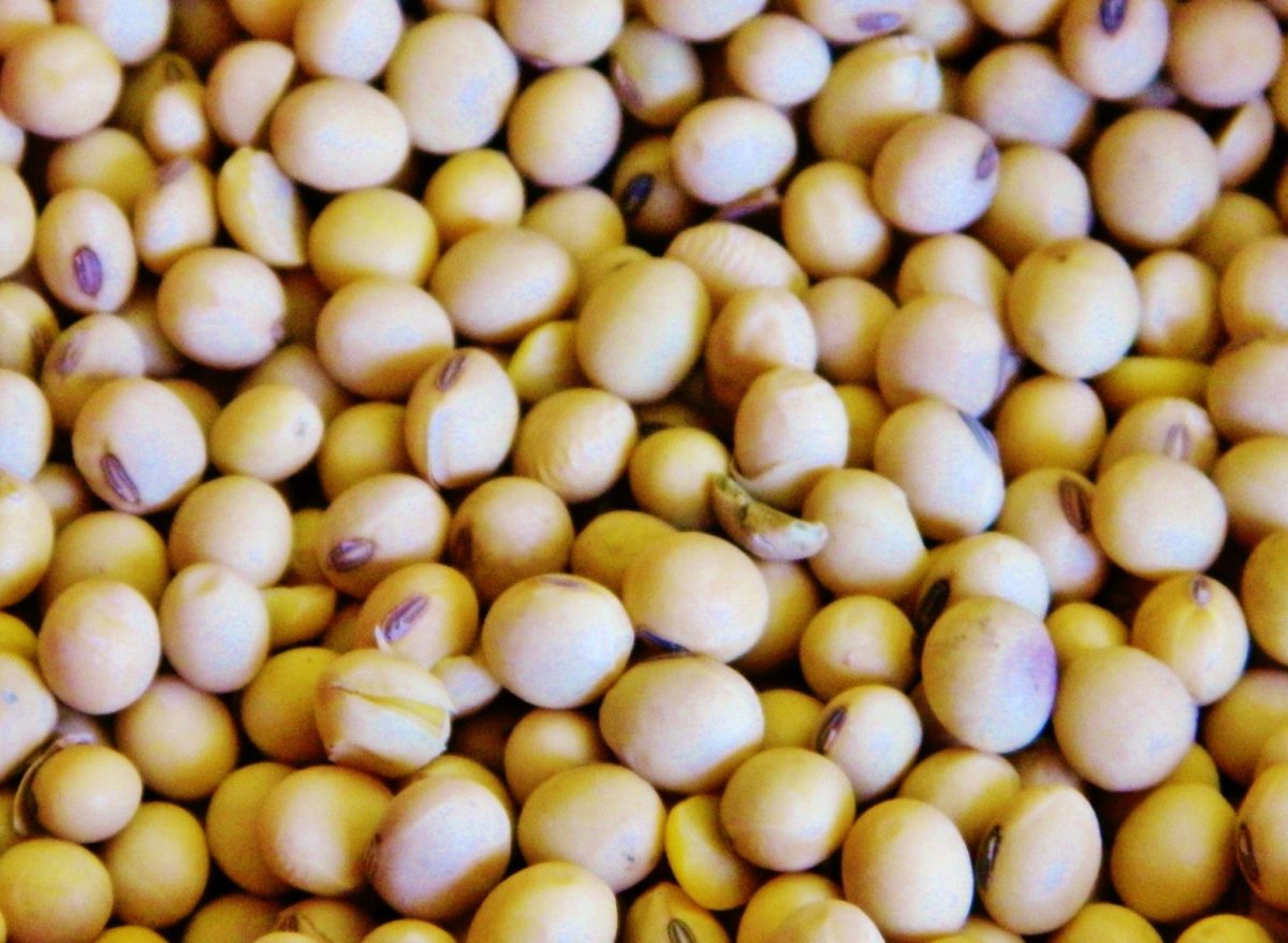 Soybean Storage and Grading Alberta Pulse Growers