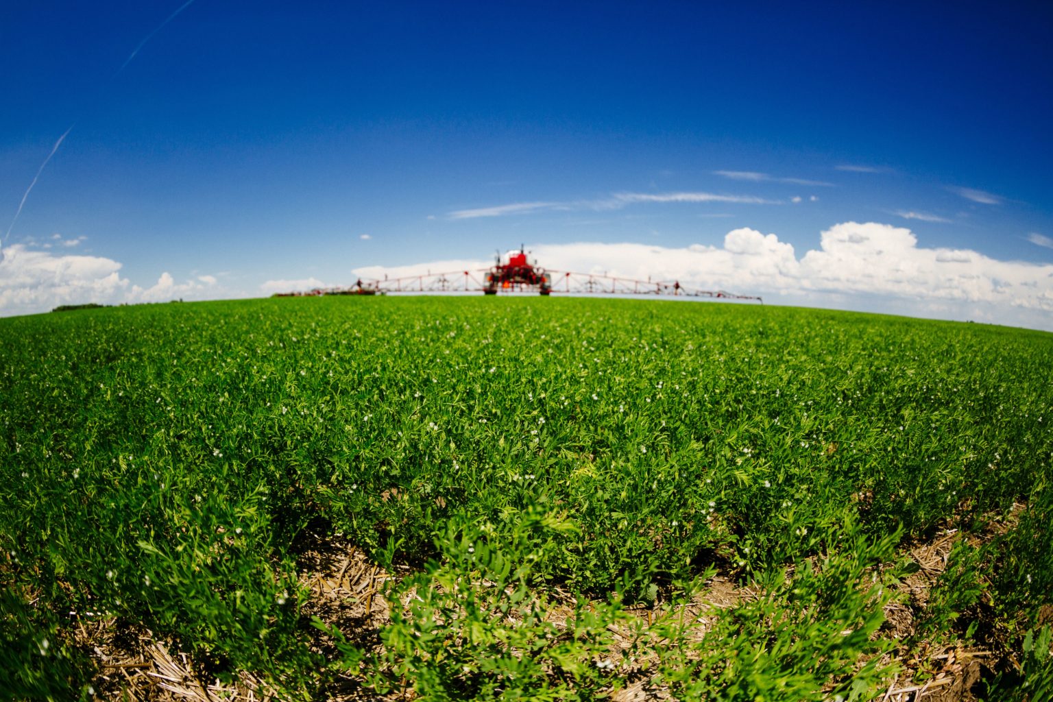 Lentils For Producers Alberta Pulse Growers   Lentil Field With Machinery 1 1536x1024 