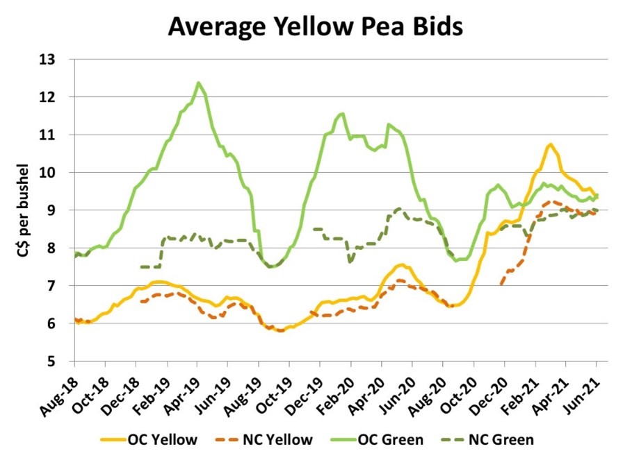 Pulse Market Insight 187 Alberta Pulse Growers